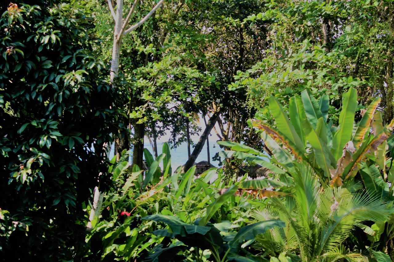 Casa Natural Puerto Viejo Otel Puerto Viejo de Talamanca Dış mekan fotoğraf